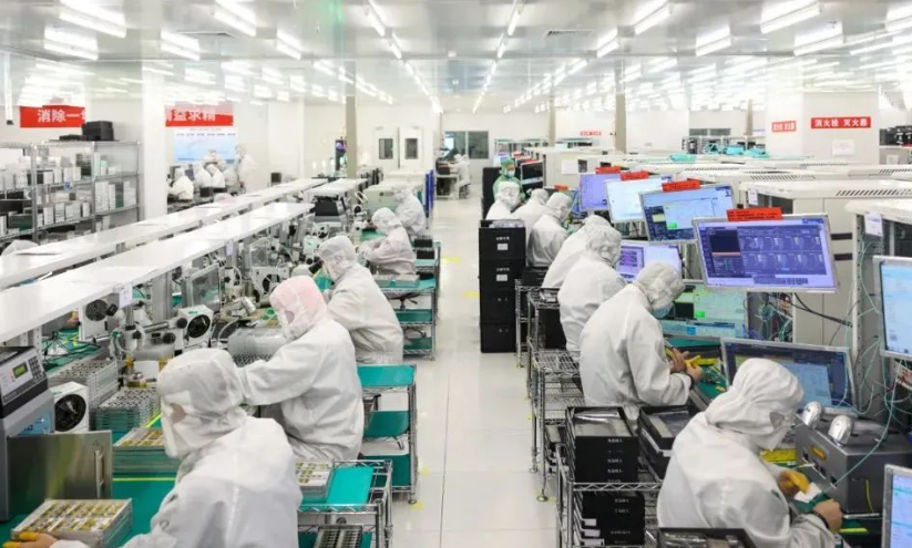 抚宁鑫百强种植园苗木培育技术优势与质量管控体系